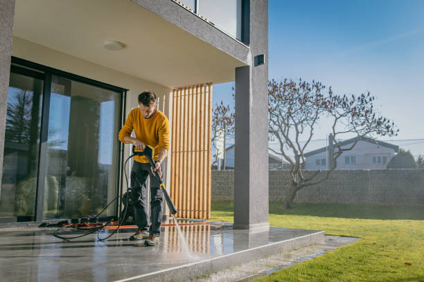 Best Roof Cleaning and Mildew Removal in Poquott, NY
